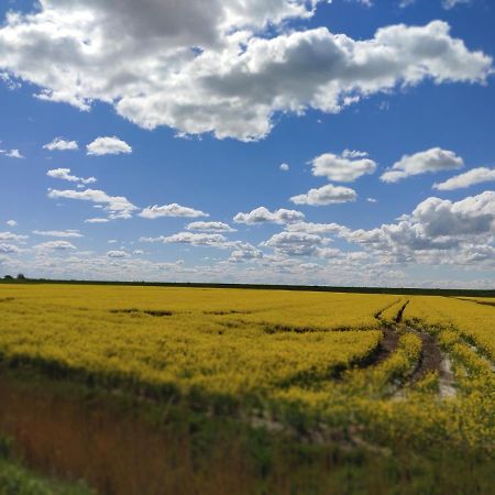 Appartamento Suederdeich Koldenbuttel Esterno foto