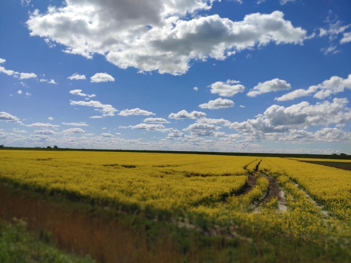 Appartamento Suederdeich Koldenbuttel Esterno foto